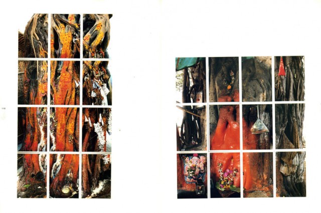 15_bloom004