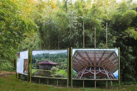 7 DSC_1968 - copie