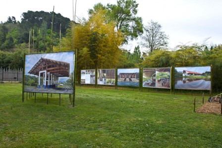 1 DSC_1980 - copie