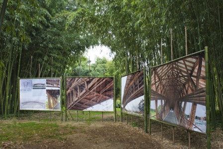 DSC_1972 - copie