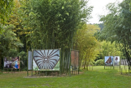 2 DSC_1975 - copie
