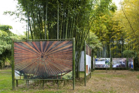 4 DSC_1946 - copie