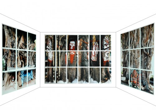 01 sacred trees1