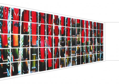 014 bamboo rouge