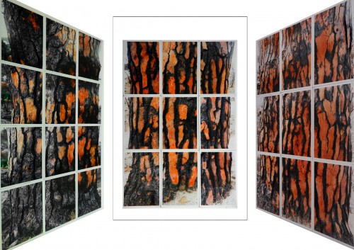 02 arbres rouge noir