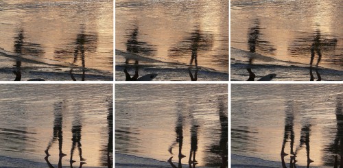 02 Reflection mini l def - copie