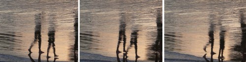 01 P1420157_copy - copie