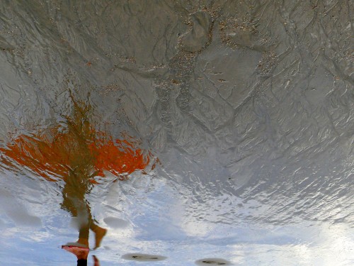 020 P1420130 - copie
