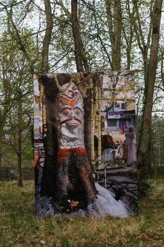 Sacred Trees