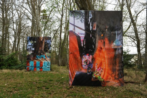 Sacred Trees