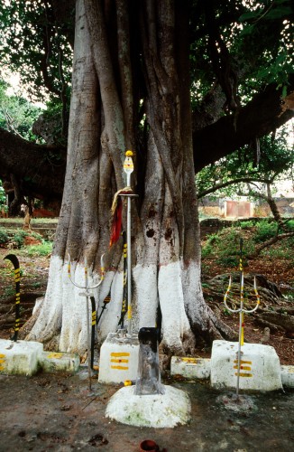 SCAN_12 - copie 1.jpg a Chettinad
