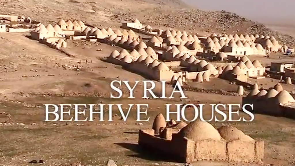 Syria Beehive & Maalula