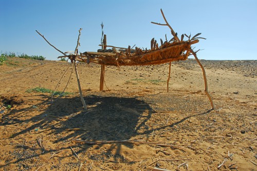 05 DSC_2766